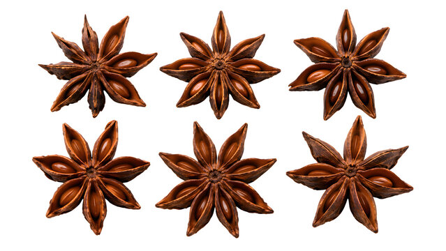 Star Anise Transparent PNG with Whole Brown Star-Shaped Spice and Natural Texture Detail