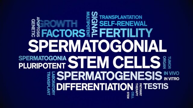 Spermatogonial Stem Cells animated word cloud-gross domestic product animation tag kinetic typography seamless loop.