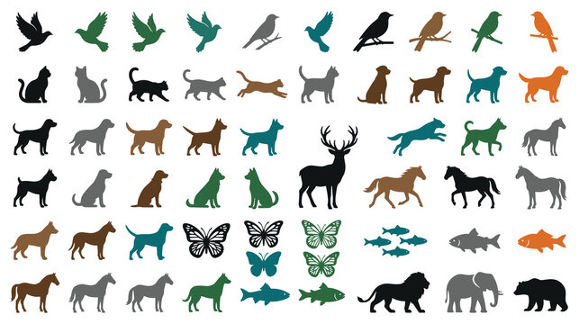 Set of wild domestic animals, birds, fishes and butterflies, simple animal shapes isolated.
