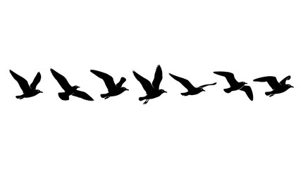 Obraz premium Black bird silhouettes in flight flock against white background