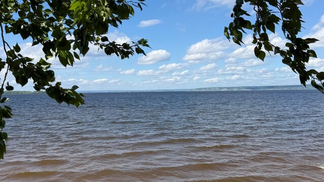 Calm Lake Vista: A tranquil lake stretches to the horizon under a vast, cloud-dotted blue sky, framed by the gentle foliage of overhanging trees, creating a serene natural landscape.