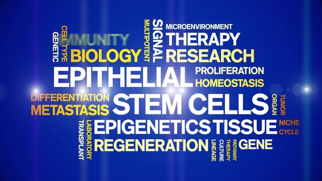 Epithelial Stem Cells animated word cloud-gross domestic product animation tag kinetic typography seamless loop.