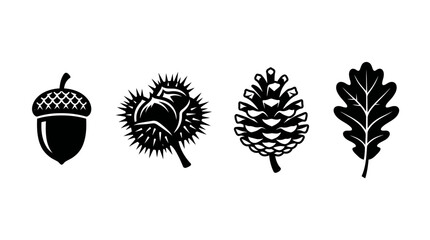 Stylized black and white icons of diverse forest elements acorn, chestnut, pinecone, and oak leaf collection © matahari
