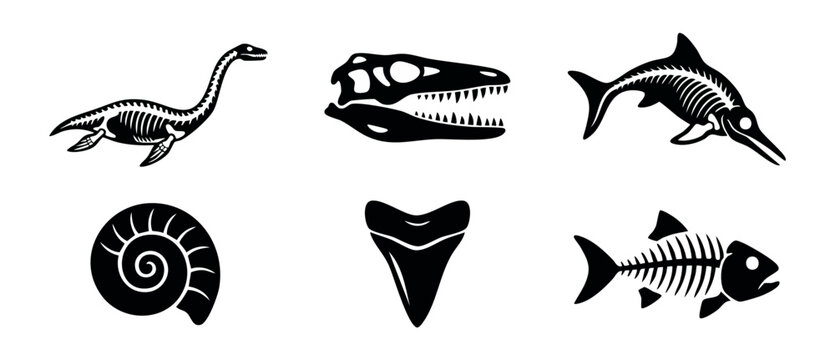 Dinosaur fossil marine skeleton silhouette set featuring prehistoric aquatic reptiles, shark tooth, ammonite shell, and fish bone icons for science, history, and education graphic designs.