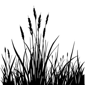 Silhouette of wetland reeds and marsh plants against a white background, featuring tall grass and foliage in a natural, serene environment.