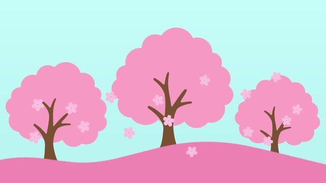 sakura tree with cherry blossom flower fly in breeze wind