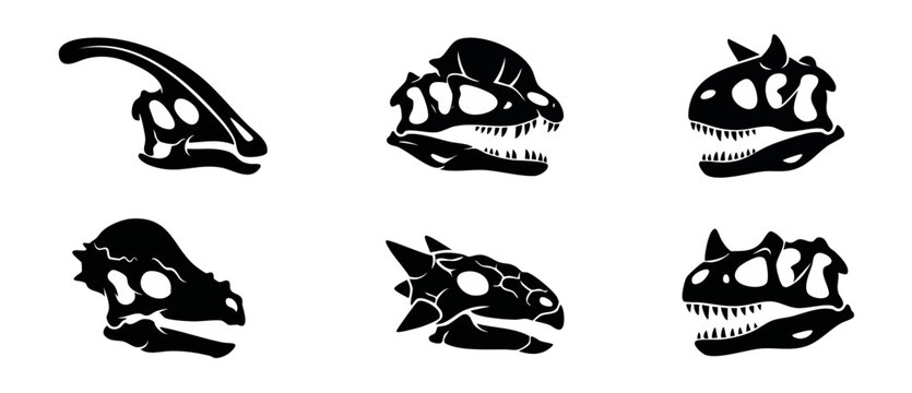 Dinosaur skull silhouette vector set featuring prehistoric fossil heads of carnivore and herbivore reptiles like Dilophosaurus and Parasaurolophus on a white background for educational design.