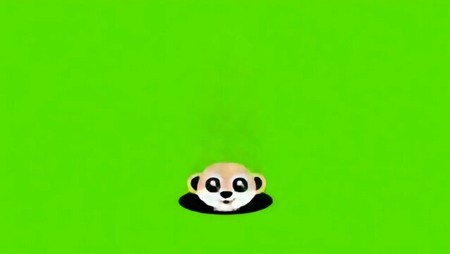 Meerkat Pop-Up Notification Icon - 2D Animated Animal Alert on Green Screen