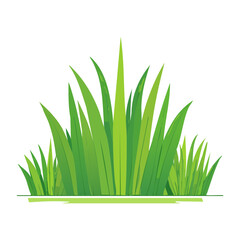 Fototapeta premium Flat design green grass illustration