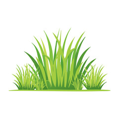 Fototapeta premium Minimalist green grass blades on transparent background