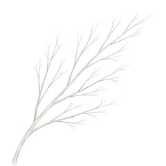 Fototapeta premium Delicate white branches with small buds on light background isolated on transparent background
