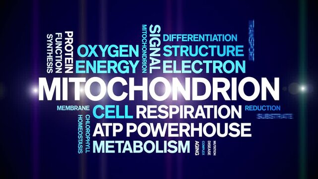 Mitochondrion animated word cloud-gross domestic product animation tag kinetic typography seamless loop.