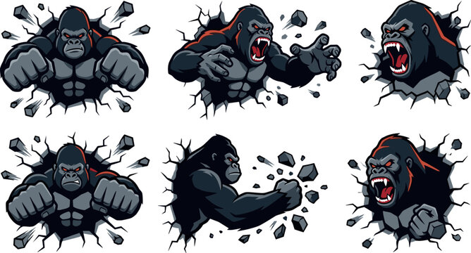 Angry gorilla mascot vector illustration set featuring aggressive apes crashing through walls with powerful fists roaring wildly for sports logos gaming decals fitness gym apparel