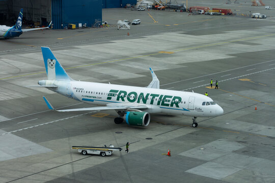 SeaTac, WA, USA - Mar 3, 2025: An Airbus A320neo aircraft operated by Frontier Airlines featuring a special wildlife-themed "Eccles the Ermine" livery is seen being directed to its parking spot.