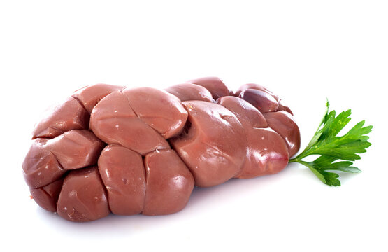 calf kidney in studio