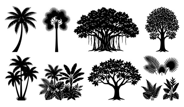 Decorative Palm and Broadleaf Tree Silhouettes Vector Botanical Landscape Collection