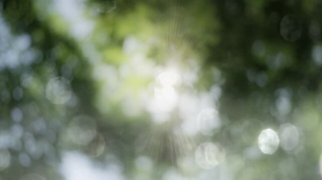 夏の太陽の暑く強い日差し　木々の葉から差し込むさわやかな木漏れ日の光とキラキラの輝く明るい丸ボケと光芒　アウトドア・夏休み・日焼け・バカンス・旅行・洗濯のイメージ背景