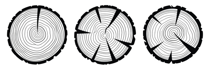 Fototapeta premium Tree Stumps with Growth Rings Cut into Sections on White Background