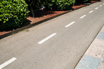 Obraz premium Urban Bicycle Path with Segmented Lane Markings and Greenery