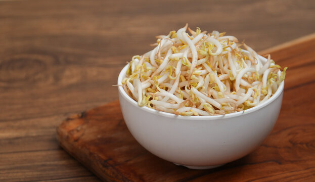 Tauge or Kecambah is Mung Bean Sprouts or Vigna Radiata