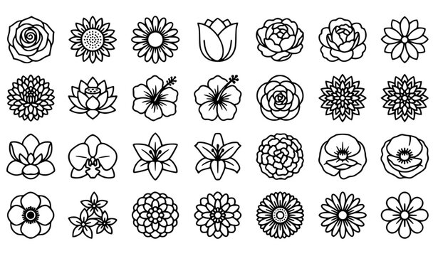 Monochrome Flower Head Outline Icons Set Botanical Floral Vector Collection
