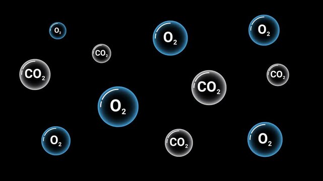 Floating oxygen and carbon dioxide molecule animation transparent background representing atmospheric gas exchange and environmental science