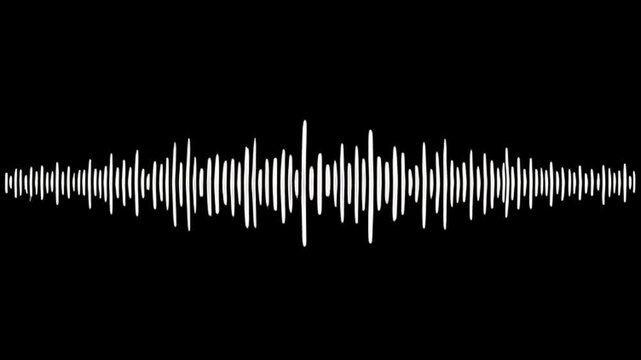 Sound wave pattern displayed on a black background with white noise