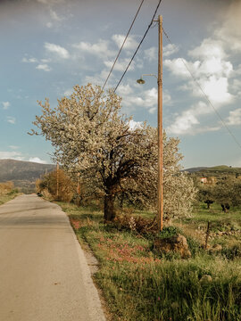 Spring streets in the charming town of Molyvos, Greece