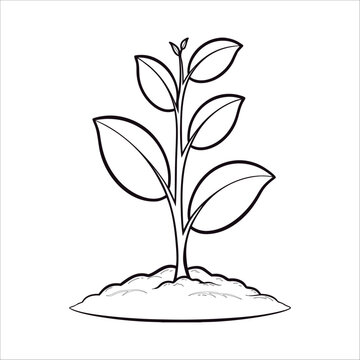 Seedling sprout growing in soil outline vector illustration