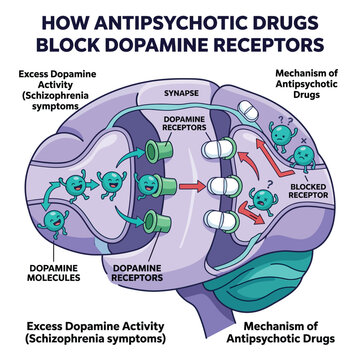Antipsychotic MOA 3D Vector Cartoon Dopamine Receptor Blocking Brain Pathway Flat Pharmaceutical Illustration