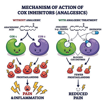 Analgesic COX Inhibitor MOA 3D Vector Cartoon Pain Prostaglandin Blocking Mechanism Flat Pharmaceutical Illustration