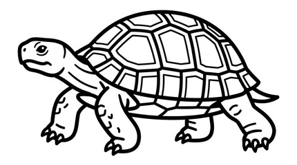 Fototapeta premium Turtle Illustration Black White Isolated