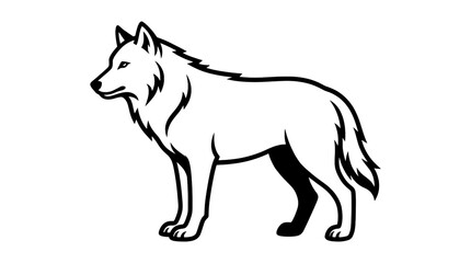Obraz premium Wolf Black White Background Isolated