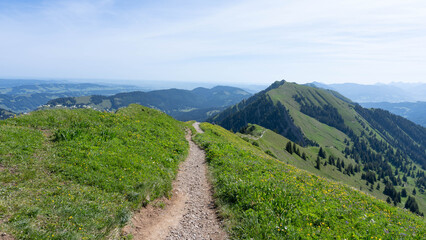 Fototapeta premium Hiking between Hochgrat Ridge and Rindalphorn - Scenic Alpine Landscape in Nagelfluhkette Bavaria