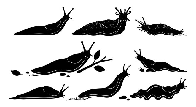 Black slug silhouette collection, set of 8 garden mollusk vector icons, gastropod pest silhouettes for biology and nature design