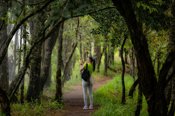 Fototapeta premium Woman hiking in rainforest. She loves hiking on nature trail. Enjoy adventure hiking in jungle.