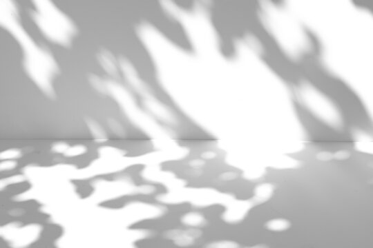 Tree leaf shadow overlay on the wall and floor isolated on a transparent background PNG