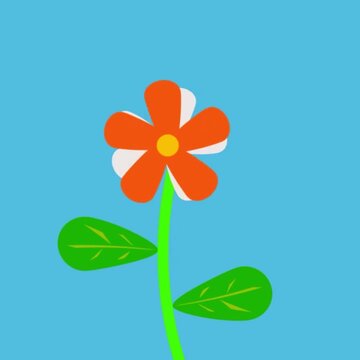 orange flower on white background