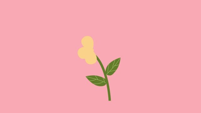 plant in a hand