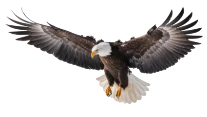 Fototapeten Adler Bald eagle with wings spread wide, flying forward  © Otillie