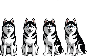 Four happy siberian husky dogs sitting side by side illustration Vector © Mst Nazma
