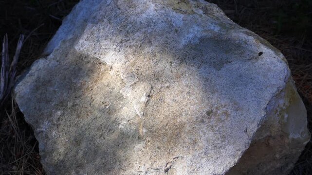Moving leaf shadows on sunlit rock, natural light texture background