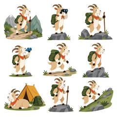 Obraz premium Set of Cartoon Goats Engaged in Various Hiking and Camping Activities in Mountainous Terrain.