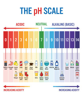 A colorful infographic chart displaying the ph scale with common household items and chemical substances