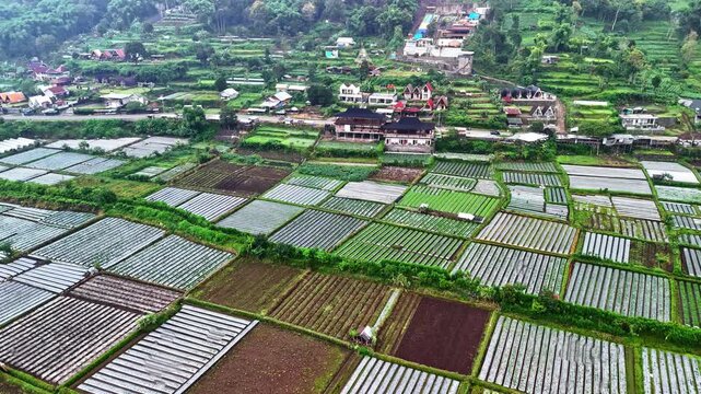 Bukit Selong, terraced fields and rural village, aerial view
