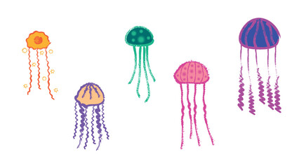 jellyfish set © Sofia Rybak