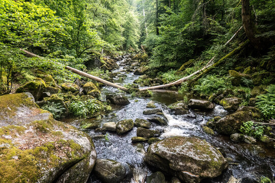 Rocky river landscape of the Wolfsteiner Ohe in Buchberger Leite, a protected gorge in Lower Bavaria, Germany.