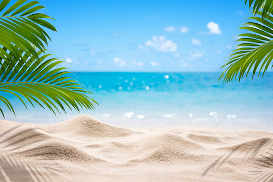 Summer sand beach in sunlight with palm leaves and shadows on the sides