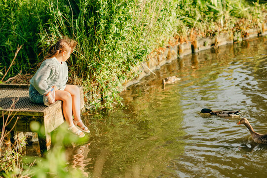 Child girl feeding waterfowl beside a lake in England