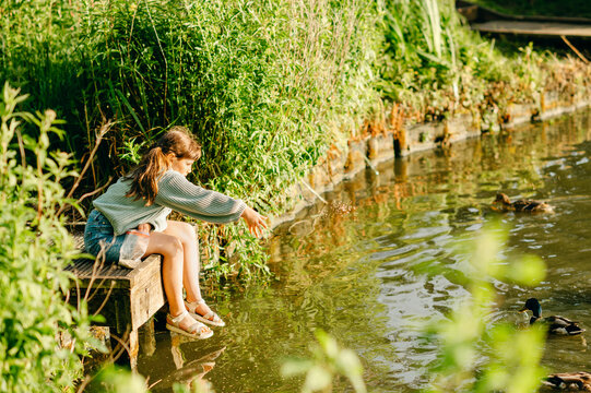 Child girl reaching out to feed waterfowl from the edge of a lake